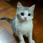 Suet Cheung - Facebook