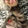 Suet Chi Cheung - @31796476809 - TikTok