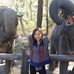 Suet Chiu - Facebook