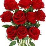 Rana Sufyan Ali - Facebook