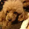 leesugi675 - @leesugi675 - TikTok