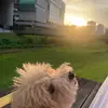 Sugi Lee - @sugi.lee79 - TikTok