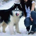 Sûhâ_Hâmdân - @suha_hamdann - Instagram