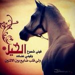 Sûhâ Hâmdâñ - @suhaayasrah - Instagram