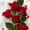 Sultanal Suha - @sultanal.suha - TikTok