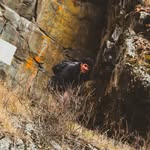 Suhail Bashir Dar - @sohailbashir.72 - Instagram