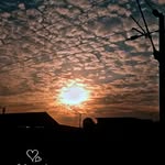 Suhel Patel - @sejad_patel_211 - Instagram