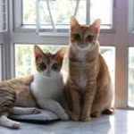Sui Wan Cheng - @suiwancheng - Instagram