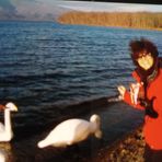 Sui Wan Lam - Facebook