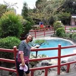 Sui Wan Lee - @suiwanlee - Instagram