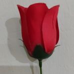 Sui Wan Ng - Facebook