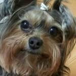Sui Wan Tai - @suiwantai - Instagram