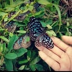 suja nair - @suja2077 - Instagram