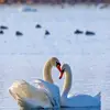 Suja Nair - @sujadnair - TikTok