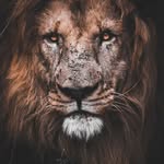 Sujay Desai - @satyashiva77 - Instagram