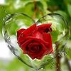 Sujay Mistry - @user30484642 - TikTok