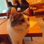 Suji Oh - @loveis428 - Instagram