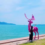 백수진 - @sujin_baek - Instagram