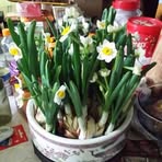 Chung Suk Ye - Facebook