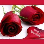 Sukhjinder Thind - @sukhjinder.thind5 - Instagram