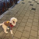 @sukhoon_ko - Instagram