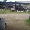 Sul Han - @sul.han93 - TikTok