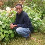 Suleyman Abdullahi Sheikh - @suleymanabdullahisheikh - Instagram