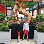 Suli Huang - @suli5989 - Instagram