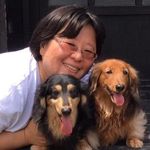 Su-Ling Cheng - @suling.cheng.39 - Instagram