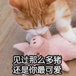陈东东 - @suling.chen.7165 - Instagram