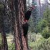 Suling Chen - Facebook