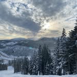 Sully - @sullivanlyonsdavid - Instagram
