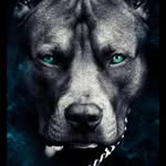 Sullivan Smith - @sullivansmith85 - Instagram