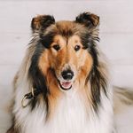 Sulo Soonist Smiling King - @sulo_king - Instagram