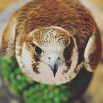 سلطان العتيبي - @sultan____alotaibi - Instagram
