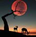 Sultan Mohamed - Facebook