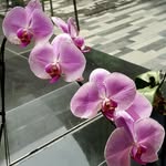sum hong rui - @sumhongrui - Instagram