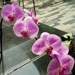sum hong rui - @ruisumhong - Instagram