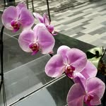 sum hong rui - @sum_hong_rui - Instagram