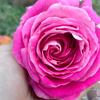 Sumaira Aziz - @sumaira.aziz74 - TikTok