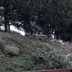 Sumaira Aziz - @sumaira.aziz.79 - Instagram