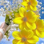 sumaira aziz - @sumairaaziz7 - Instagram