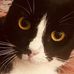 Sumaira Hafeez - Facebook
