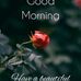 Sumaira Hafeez - Facebook