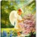 Sumaira Hafeez - Facebook