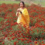 Suman Joshi - Facebook