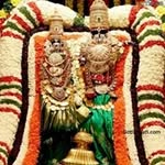 Suman Katyal - @suman.katyal.106 - Instagram