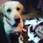 Suman Narayan - @_suman_1120 - Instagram