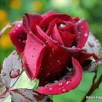 Sumant Gupta - Facebook