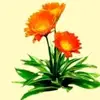 Sumant Gupta - @sumant.gupta6 - TikTok